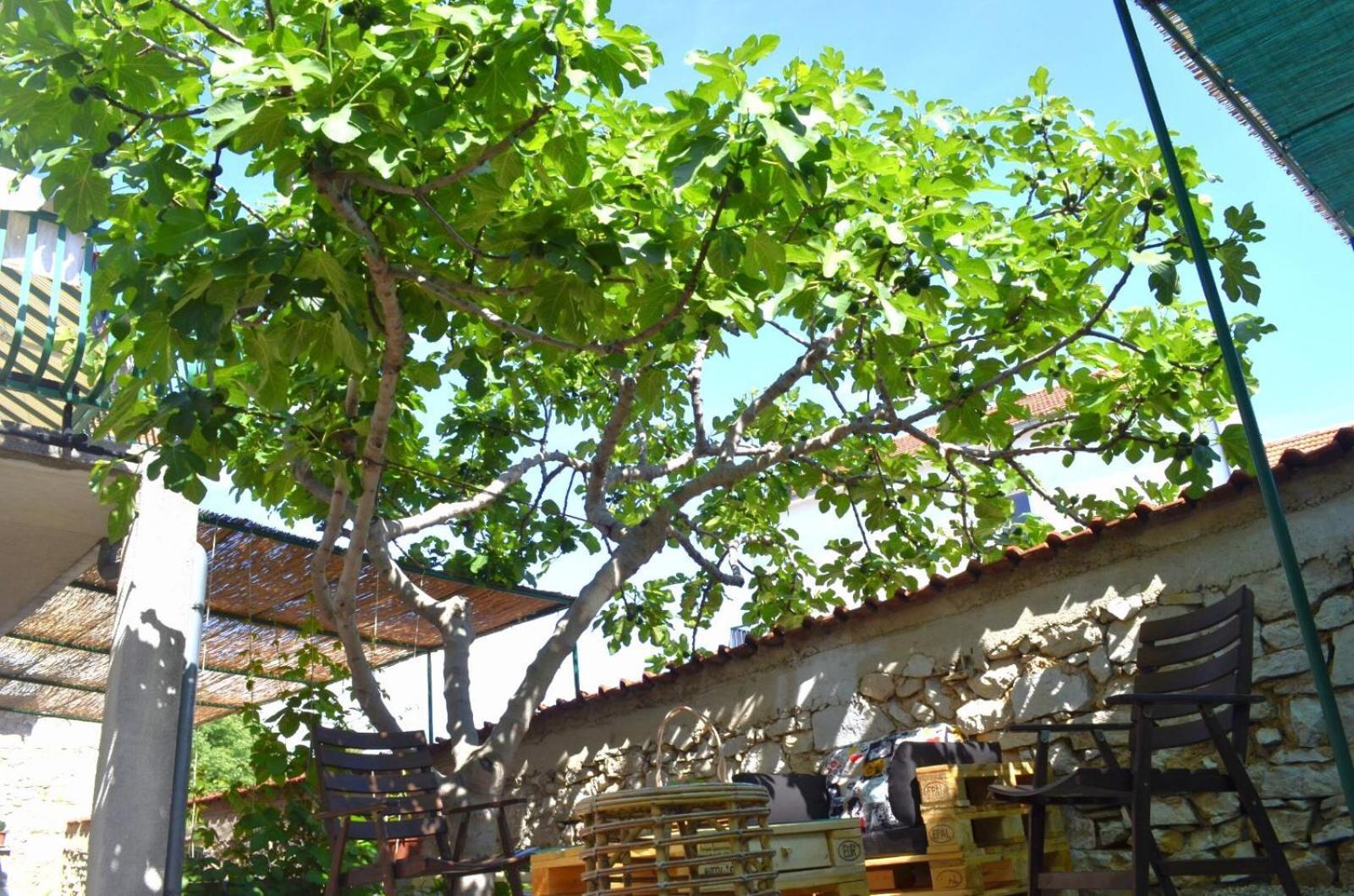 Apartmani Spanja Βόντιτσε Εξωτερικό φωτογραφία